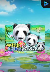 Bocoran RTP Wild Giant Panda di RTP PIN4D